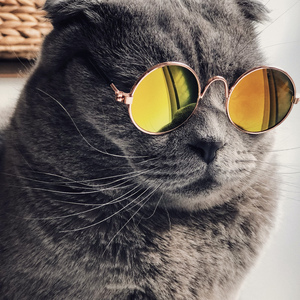 《千鹤的开发日记》火狼动漫
